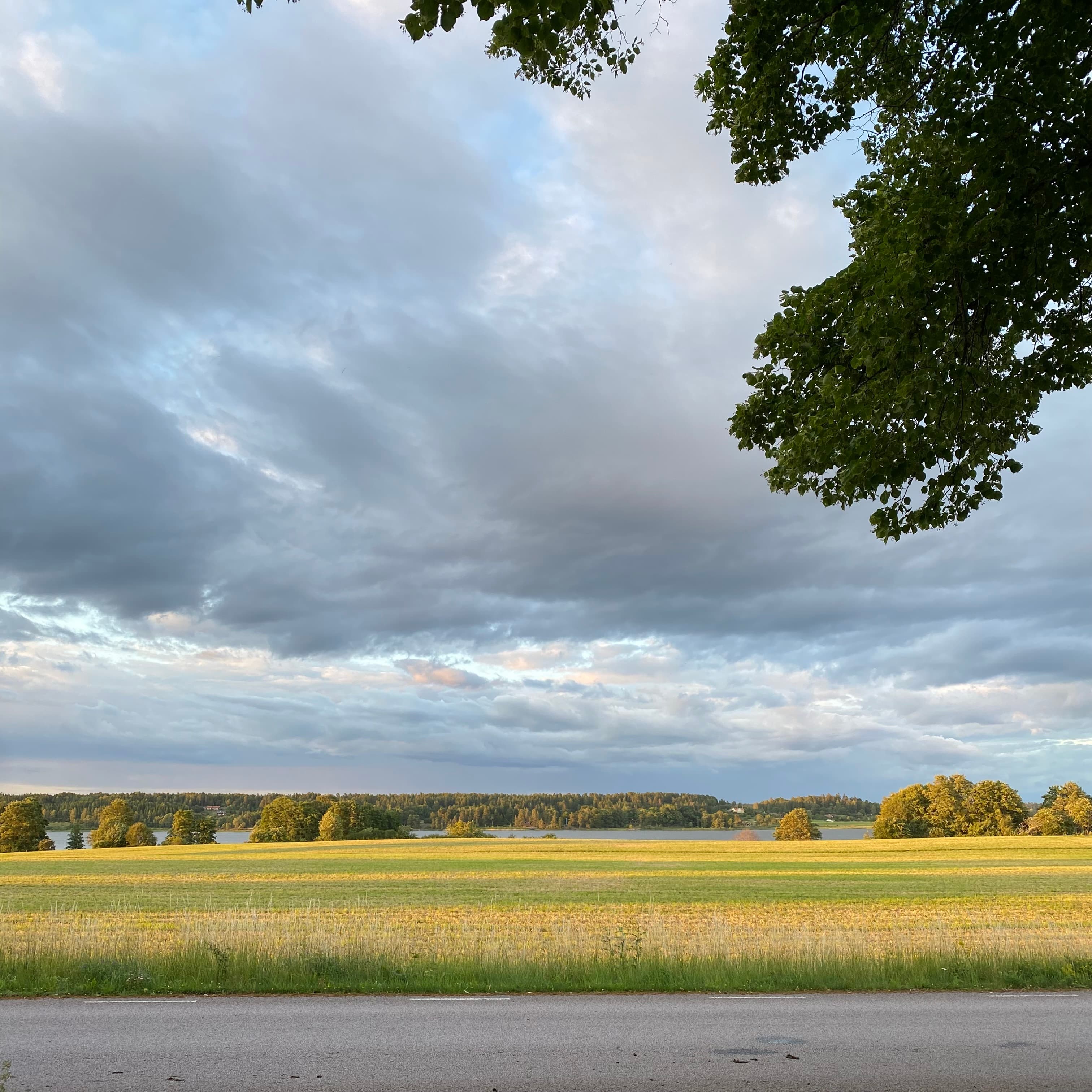 View over fields and Nyckelsjön